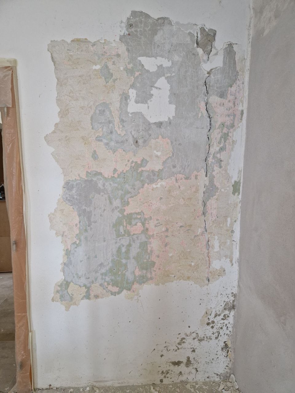 300 jahr farbe