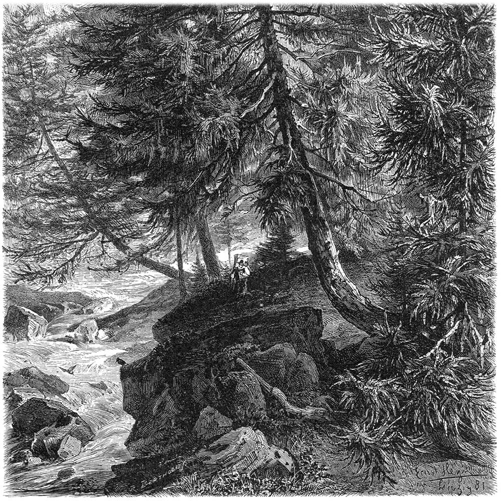 <a href="https://fugbach.one/albums/m7nhw2765wiuqrn" target="_blank" rel="noopener noreferrer">demutsberg 2</a>